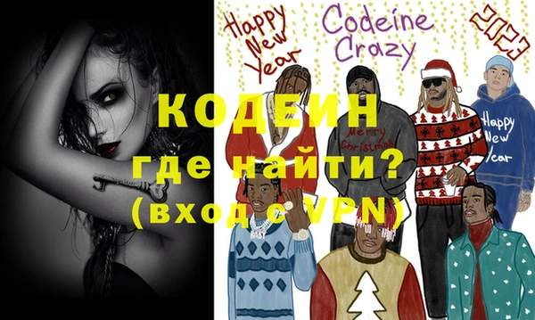шишки Переславль-Залесский