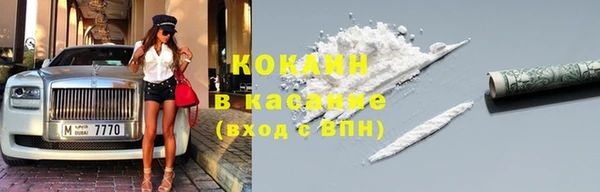 шишки Переславль-Залесский