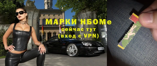 шишки Переславль-Залесский