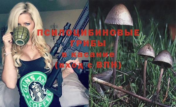ешки Пестово