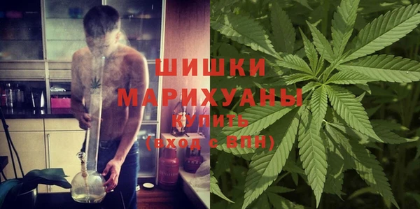 шишки Переславль-Залесский