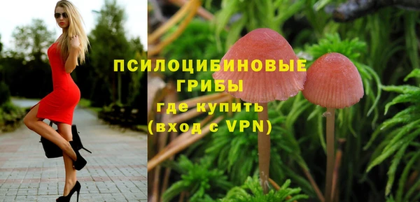 ешки Пестово