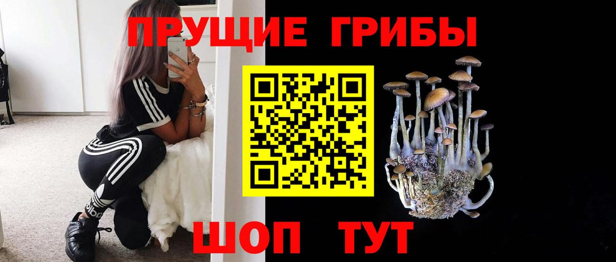 Псилоцибиновые грибы MAGIC MUSHROOMS Ртищево