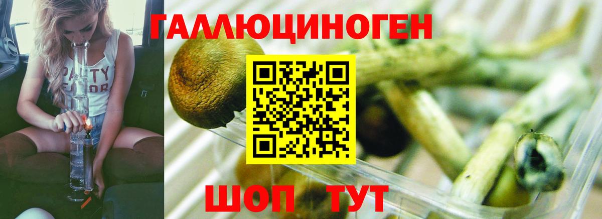Ртищево  Псилоцибиновые грибы мухоморы  Вход с VPN  Галлюциногенные грибы мицелий 