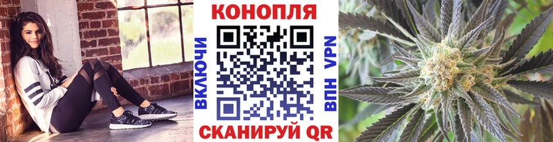 Бошки марихуана THC 21%  Ртищево 
